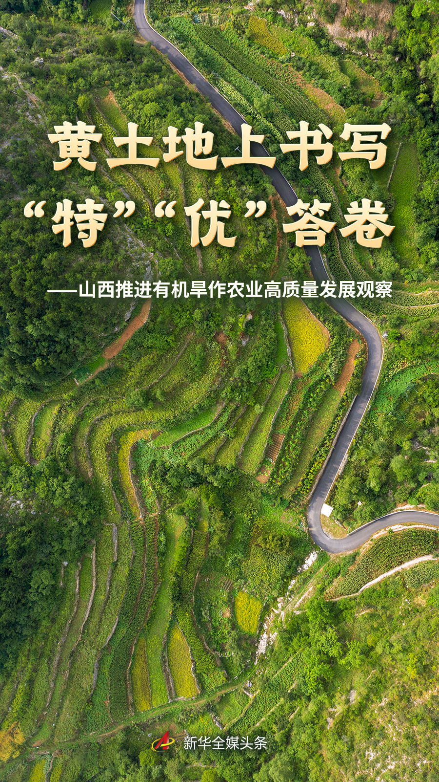一号娱乐